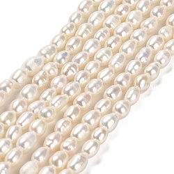 Fili di perle di perle d'acqua dolce coltivate naturali, riso, grado 3 un, bianco floreale, 4~4.5x3~4x3~4mm, circa 73~74pcs/filo, 13.78'' (35 cm)