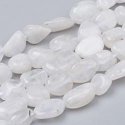 Natural Rainbow Moonstone Beads Strands, Nuggets, Tumbled Stone, 8~10x8~9x5.5~6mm, Hole: 0.5mm, about 43pcs/strand, 15.55 inch(39.5cm)