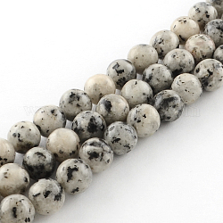 Dyed Natural Sesame Jasper Round Beads Strands, Gainsboro, 10mm, Hole: 1mm, about 38pcs/strand, 14.9 inch