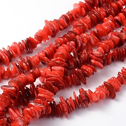 Natural Shell Beads Strands, Dyed, Chips, Red, 6~15x3~7x1~3mm, Hole: 1mm