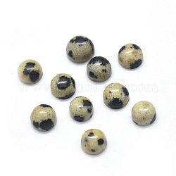 Dalmatiner Jaspis Natur Cabochons, halbrund / naturaldome, 4x1.5~2.5 mm
