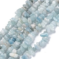 Chapelets de perles en aigue-marine naturelle, puce, 3~16x3~8mm, Trou: 0.7mm, 32.28'' (82 cm)