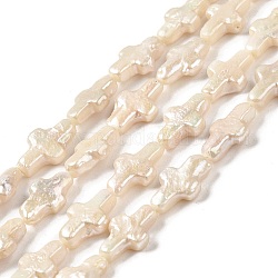 Chapelets de perles en Keshi naturel, perles baroques, perle de culture d'eau douce, croix, papayawhip, 12~13x7.5~8.5x3~3.5mm, Trou: 0.5mm, Environ 31~32 pcs/chapelet, 15.87~16.34 pouce (40.3~41.5 cm)