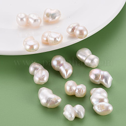 Perles de perles keshi naturelles, perle de culture d'eau douce, pas de trous / non percés, gourde, couleur de coquillage, 15~20x12~14x8~12mm