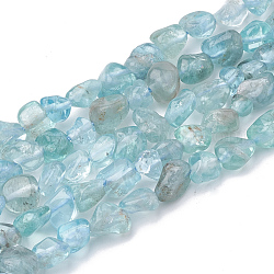 Chapelets de perles en apatite naturelle, pierre roulée, pépites, 2~19x3~8x2~7mm, Trou: 1mm, Environ 50~55 pcs/chapelet, 15.55 pouce