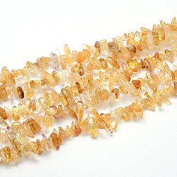 Chapelets de perles de citrine naturelle, pépites, 9~22x4~10mm, Trou: 1mm, environ 15.7 pouce
