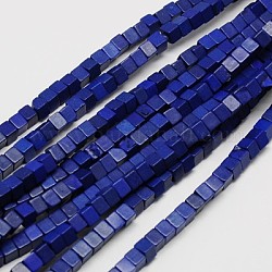 Chapelets de perles en turquoise synthétique, teinte, cube, bleu moyen, 4x4x4mm, Trou: 1mm, Environ 95 pcs/chapelet, 15.75 pouce
