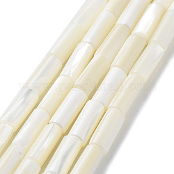 Natural Trochus Shell Beads Strands, Column, Floral White, 13.5~14x5.5~6mm, Hole: 0.6mm, about 29pcs/strand, 15.75''(40cm)