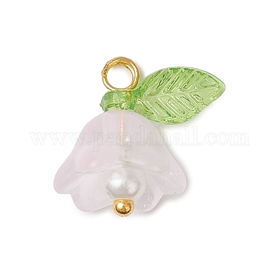 Стеклянные подвески PALLOY-MZ00838-04-1