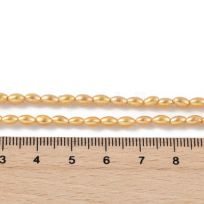 Гальванические оболочки жемчужные бусы пряди BSHE-Z009-10B-01-1