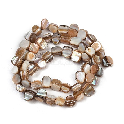 Нити бусин из натуральной ракушки трохус&nbsp;BSHE-Q050-01B-1