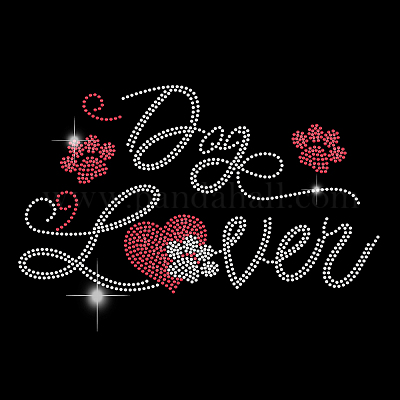 Стекла исправление горный хрусталь DIY-WH0303-324-1