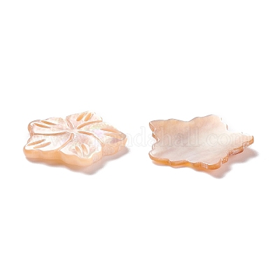 Cabochon conchiglia&nbsp;SSHEL-C008-09-1