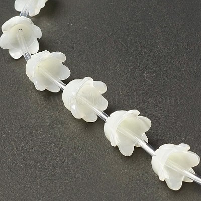 Натуральная оболочка из трохида BSHE-B005-03-1