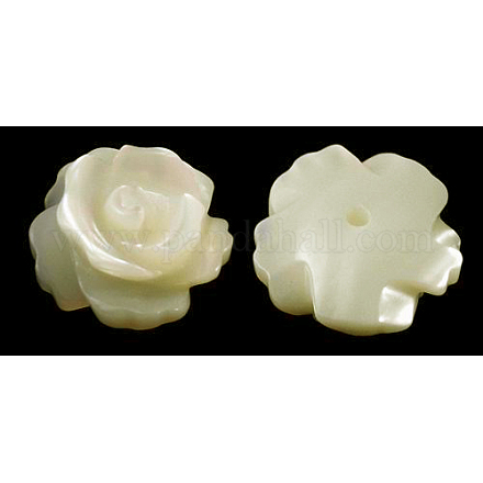Cuentas de espalda plana con flor de rosa de concha blanca natural medio perforadas X-SH159-1