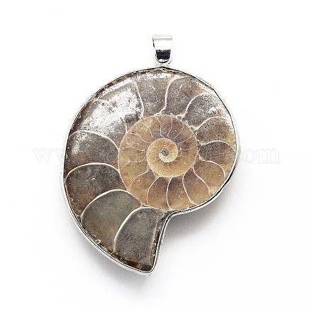 Latón pendientes de concha de piedras preciosas SSHEL-F0006-01-1