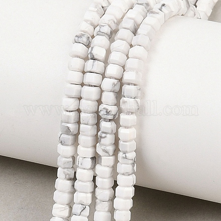 Природные Говлит бисер нитей G-G345-C01-2x4mm-1