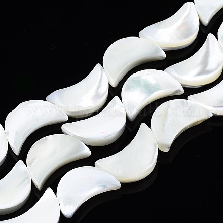 Chapelets de perles de coquille de trochid / trochus coquille SSHEL-N034-97B-B01-1