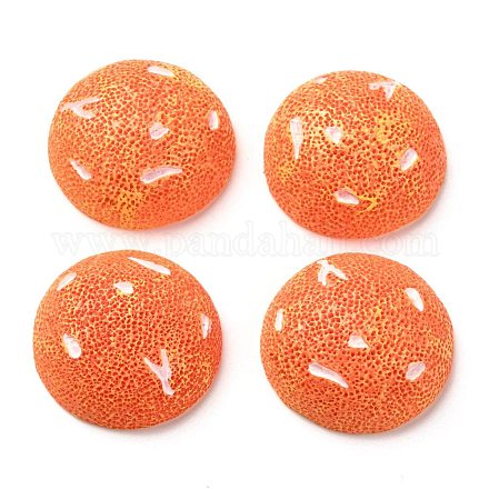 Resin Cabochons RESI-A014-03-1