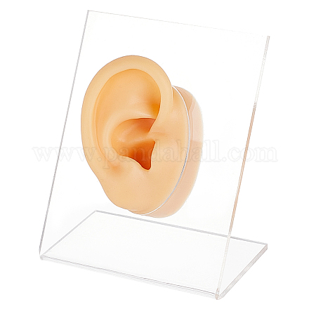 Olycraft 右耳ディスプレイモデル シリコーン耳モデル ゴム耳 シリコーン柔軟な耳モデル アクリルディスプレイ付き 教育ツール用スタンド ジュエリーディスプレイイヤリング プロのピアス練習 EDIS-WH0021-14A-1