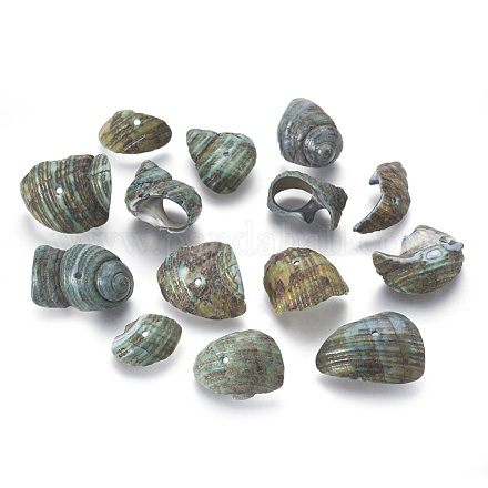 Natural Sea Shell Beads BSHE-S002-7-1
