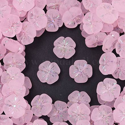 Матовые прозрачные акриловые бусины OACR-P029-19B-05-1