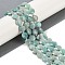 Natural Amazonite Beads Strands, Faceted Pentagonal Cut, Flat Round, with Seed Beads, 10~10.5x5~6mm, Hole: 1mm, about 32~33pcs/strand, 15.75''(40cm)
