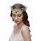 1Pc Plastic Headband, Flower Crown, with Rhinestone, Siam, Inner Diameter: 170mm