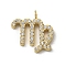 Ion Plating(IP) 304 Stainless Steel Micro Pave Cubic Zirconia Charms, Constellation, Virgo, 14x14x2mm, Hole: 1.8mm
