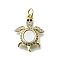 Brass Micro Pave Clear Cubic Zirconia Pendants, with Shell, Real 16K Gold Plated, Sea Turtle, 18.5x14x3mm