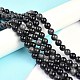 Natural Silver Obsidian Beads Strands G-D083-01B-4