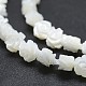 Natural White Shell Beads Strands SSHEL-P015-01A-10mm-3