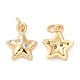 Rack Plating Brass Micro Pave Clear Cubic Zirconia Charms KK-I706-17G-1