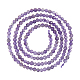 Nbeads 1 Strand Natural Amethyst Beads Strands G-NB0004-65-1