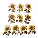 10 Uds. Pegatinas impermeables de flores para mascotas de 5 estilos STIC-C004-01D-1