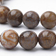 Chapelets de perles en bois pétrifié naturel G-Q462-136-6mm-3