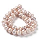 Natural Cultured Freshwater Pearl Beads Strands PEAR-E019-16-2