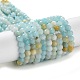 Brins de perles d'amazonite de fleurs naturelles G-J400-E07-02-1