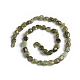 Natural Green Garnet Beads Strands X-G-D0002-D66-2