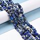 Natural Lapis Lazuli Beads Strands G-F575-01F-2