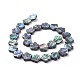 Paua Shell Beads Strands BSHE-K054-11-2