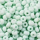 Выпечка краска стеклянные бусины SEED-C003-02I-3