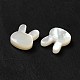 Perles de coquillage blanc naturel BSHE-E026-05-4