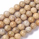 Natural Fossil Coral Beads Strands X-G-F648-02-D-1