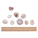 1 boîte coquilles coquilles Saint-Jacques coquille de palourde perles colorées avec des trous pour la fabrication artisanale 40-50pcs BSHE-YW0001-01-4