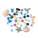 Kits de fabricación de pulseras de collar de piedras preciosas de tema marino de diy DIY-FS0002-73-2