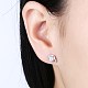 Exquisite 925 Sterling Silver Cubic Zirconia Stud Earrings EJEW-BB20093-2