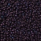 Perles rocailles miyuki rondes X-SEED-G007-RR2005-3