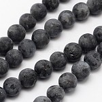 Natural Larvikite/Black Labradorite Beads Strands, Frosted, Round, 6mm, Hole: 0.8mm, about 60pcs/strand, 14.1 inch
