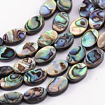 Brins de perles en coquille d'ormeau naturel / coquille de paua, ovale, colorées, 12x8x3mm, Trou: 0.5mm